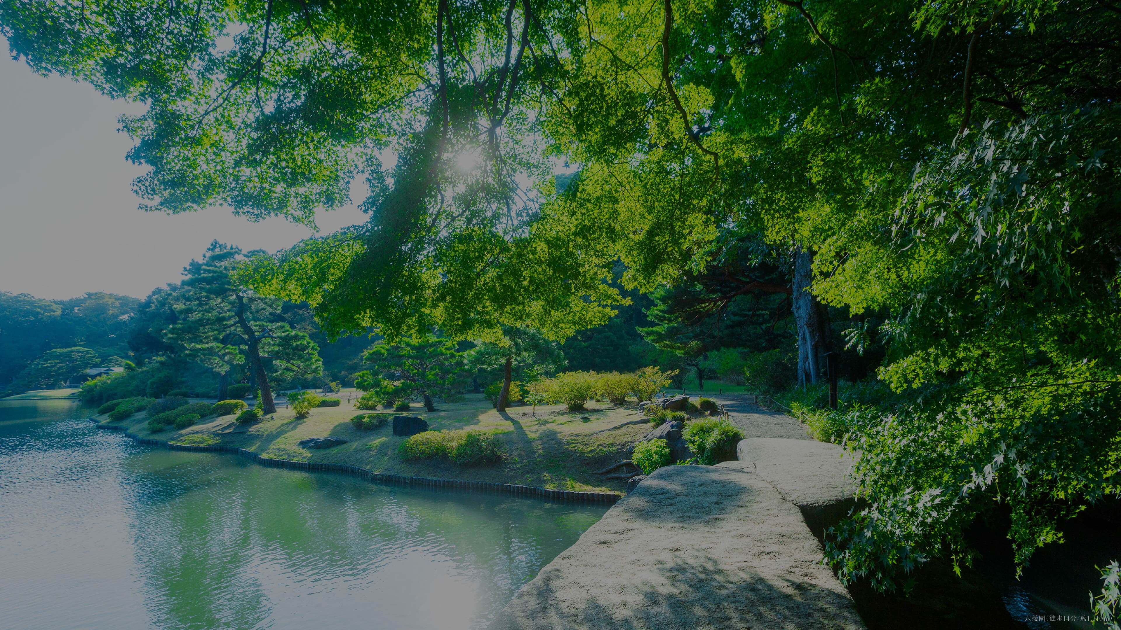 六義園（徒歩14分/約1,110m）