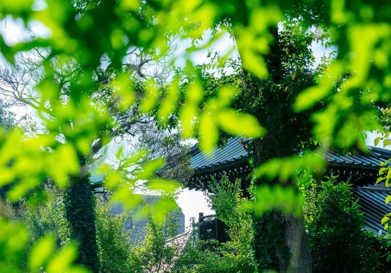 白山公園（徒歩10分/約730m）