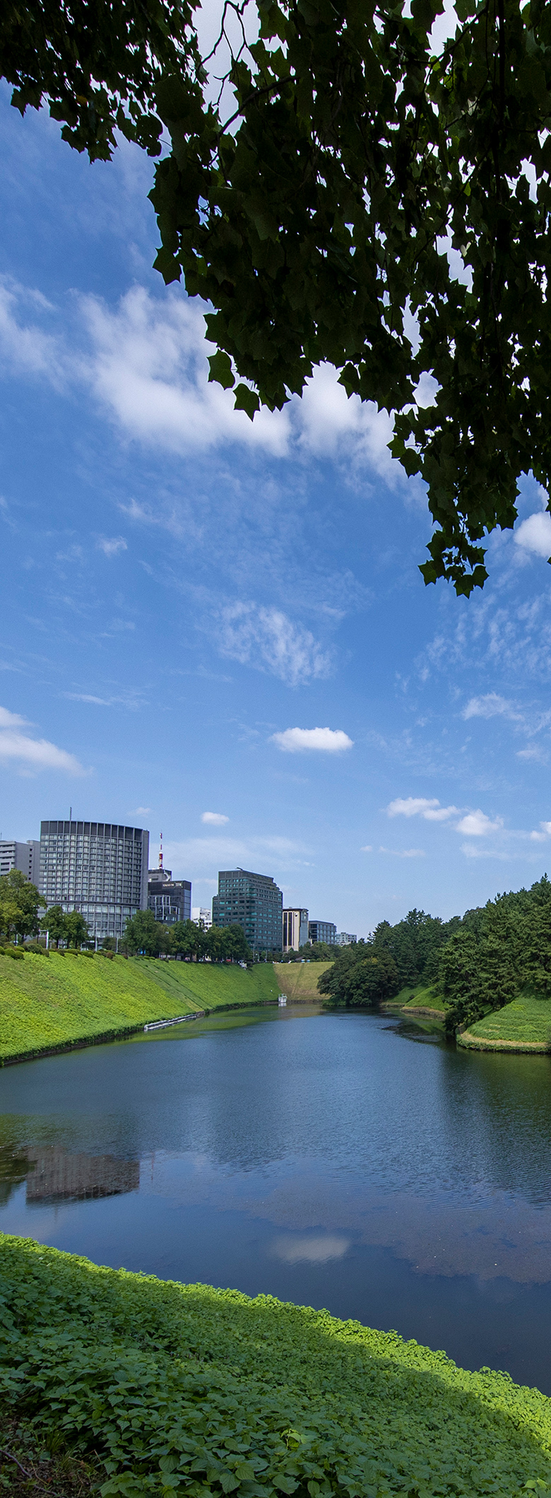 桜田濠(徒歩12分/約950m)