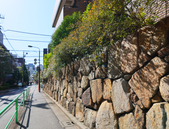 番町文人通り 写真