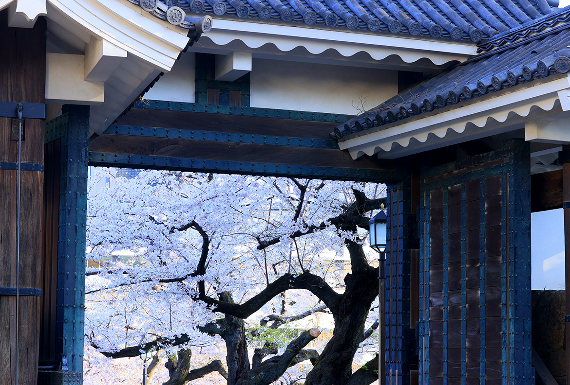 北の丸公園