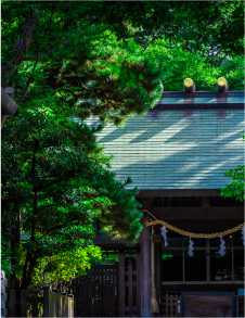 船橋大神宮（徒歩3分／ 約170m）