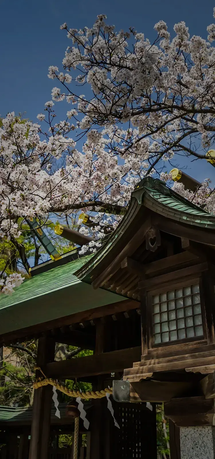 船橋大神宮（徒歩3分／約170m）