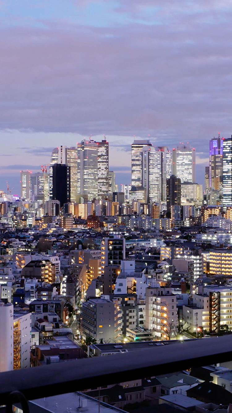 新宿駅周辺航空写真（2024年3月撮影）