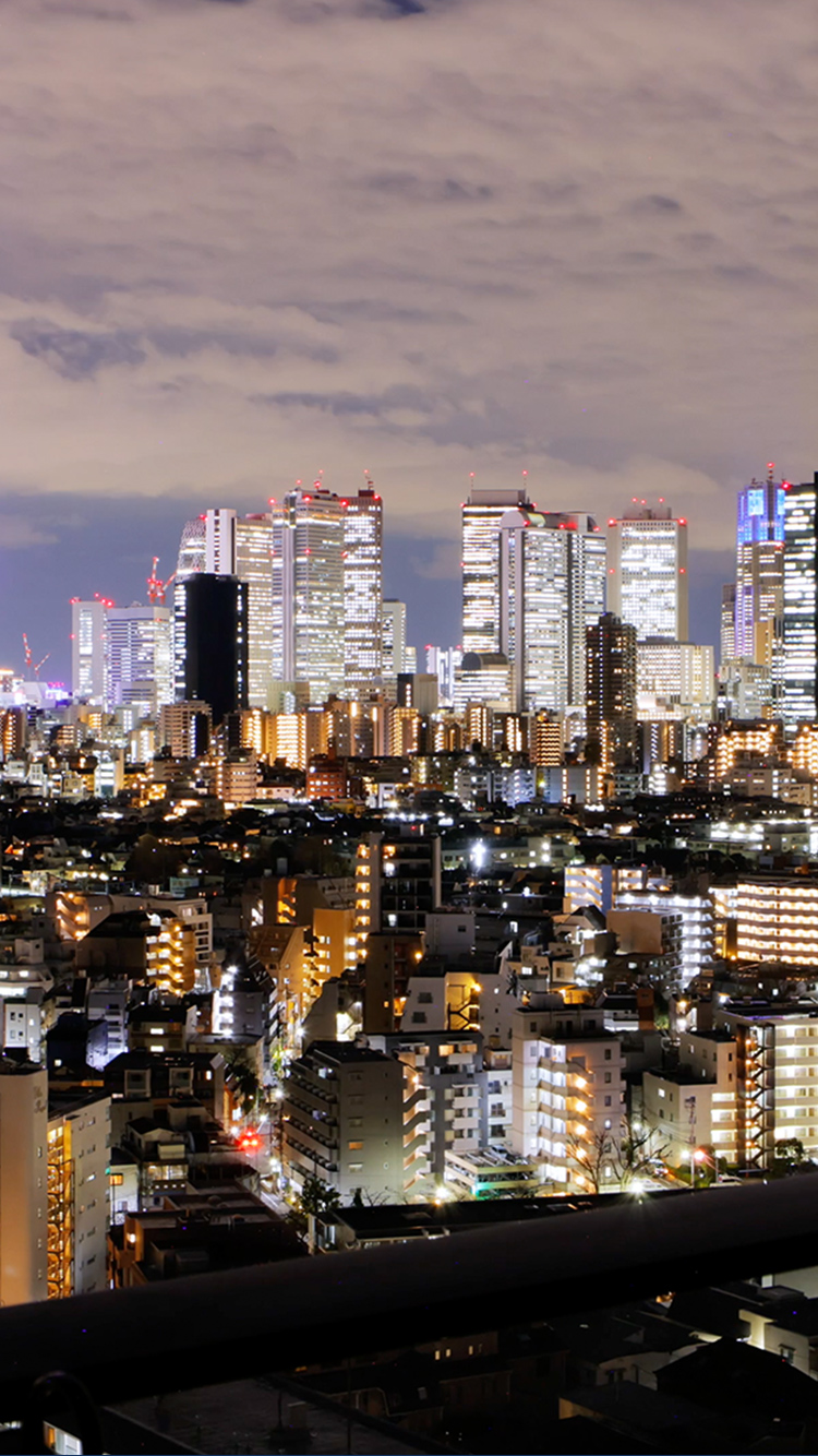 新宿駅周辺航空写真（2024年3月撮影）