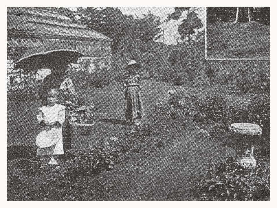 華州園の様子 出典：東京近郊名所図絵 国立国会図書館所蔵