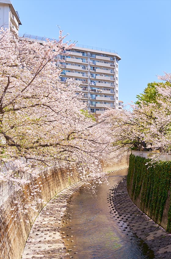 神田川上水公園（徒歩6分／約480m）
