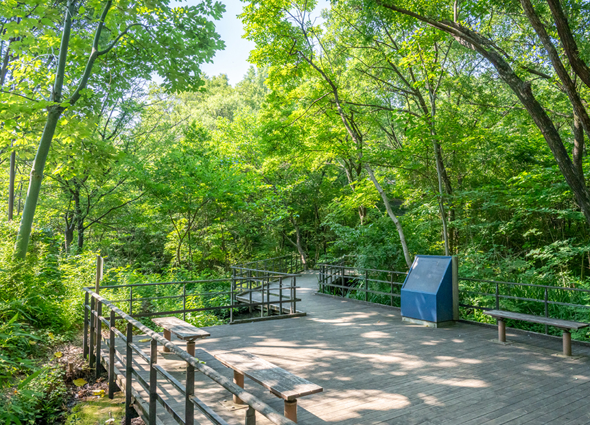 赤羽自然観察公園