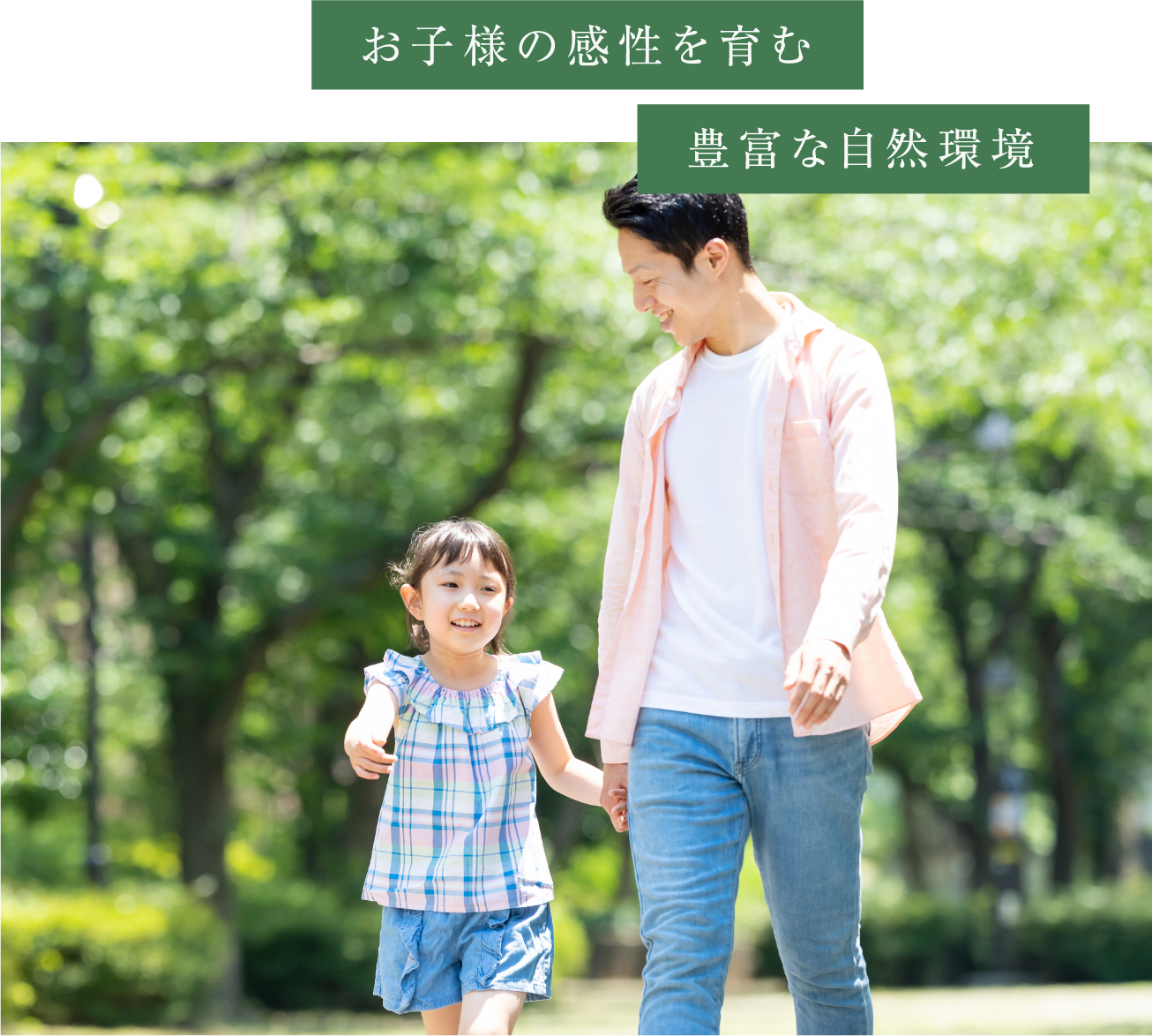 Image Photo