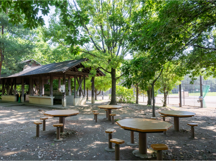 赤羽自然観察公園