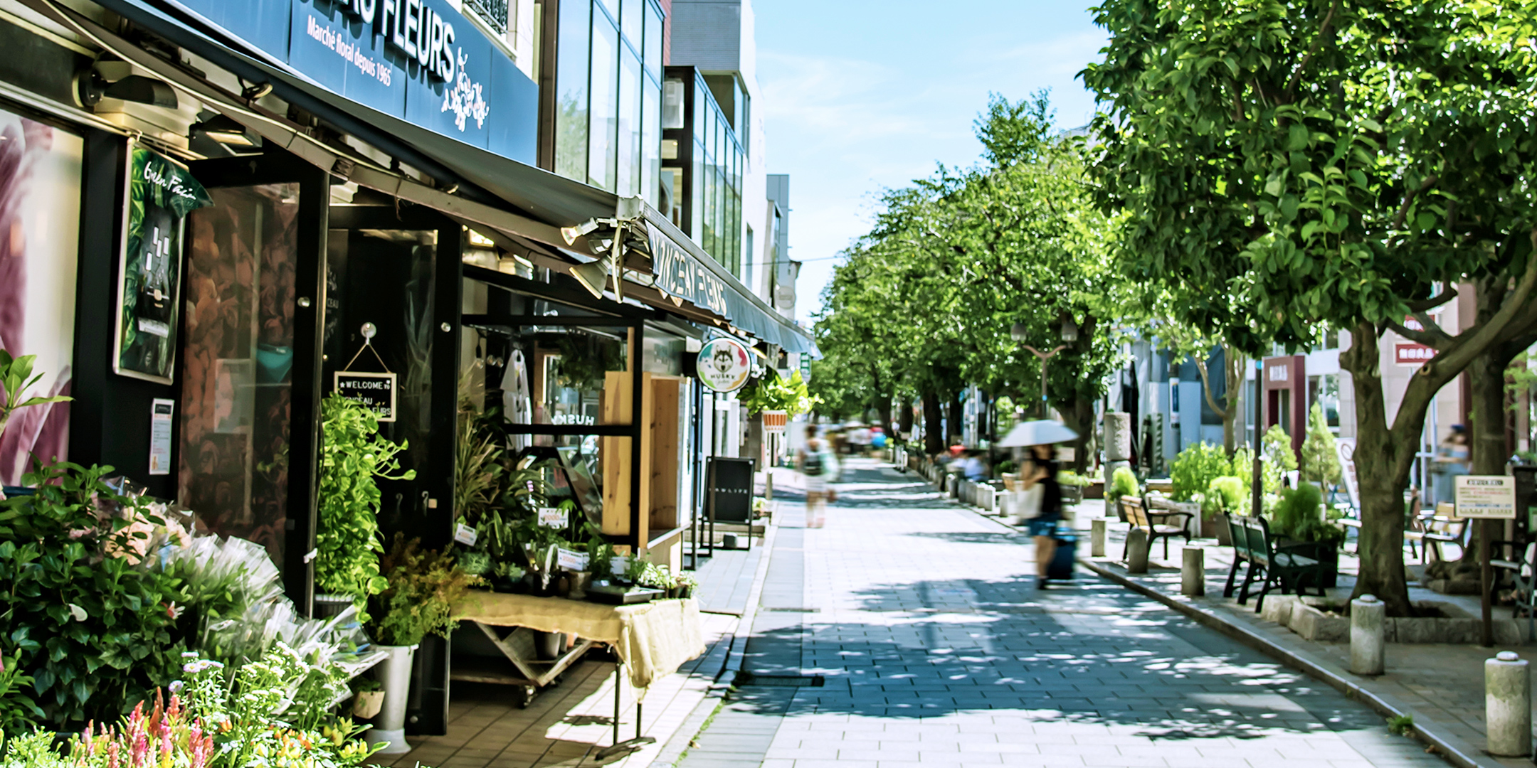 公式 ザ パークハウス 自由が丘ディアナガーデン 自由が丘 駅徒歩9分 三菱地所レジデンス モリモトの新築分譲マンション