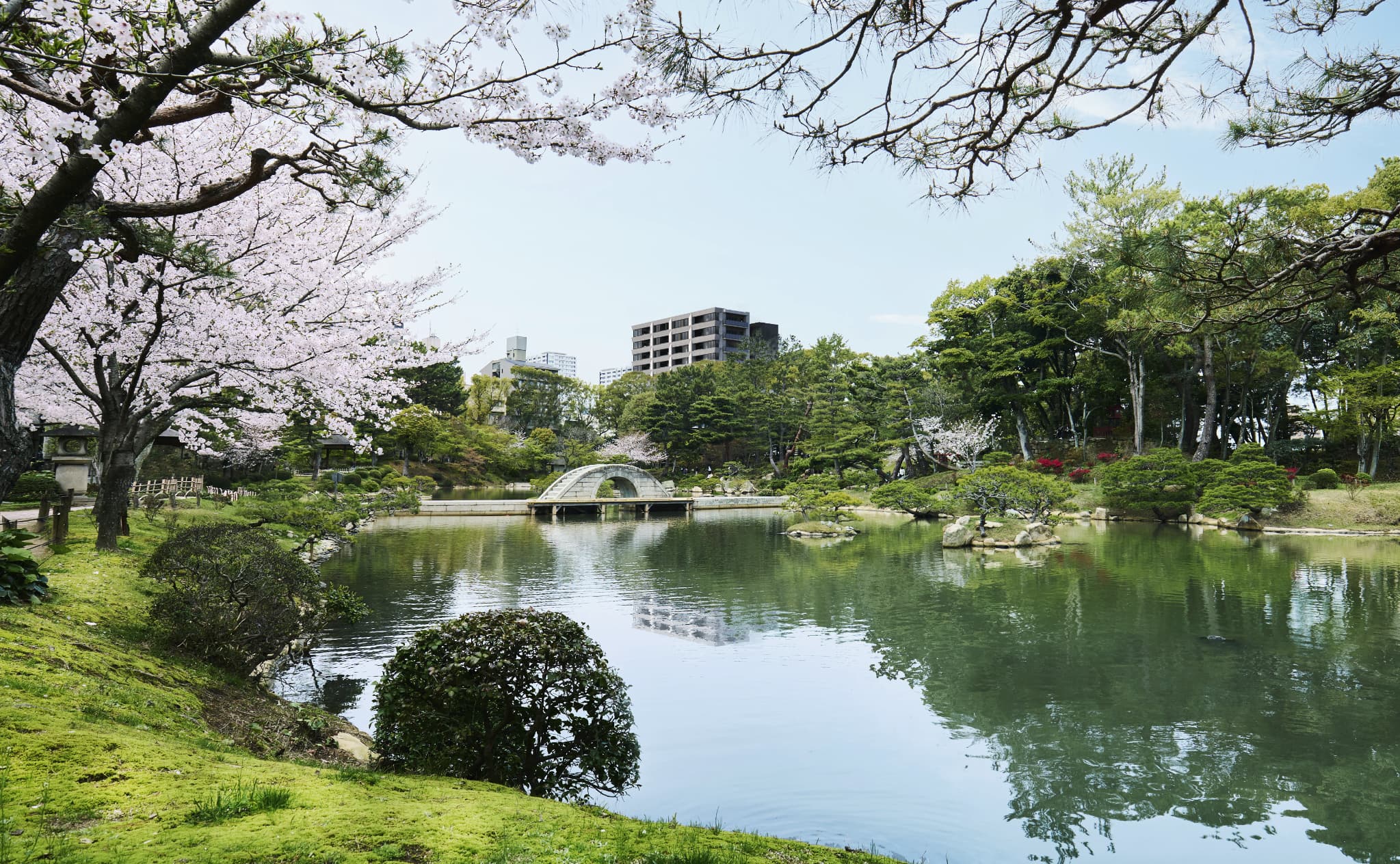 縮景園から望む外観完成予想CG