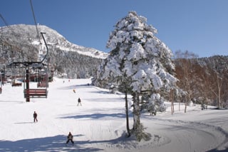 image photo