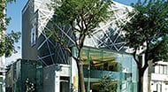 「ミズ・レイコ72ビル」東京都渋谷区（2008年）
