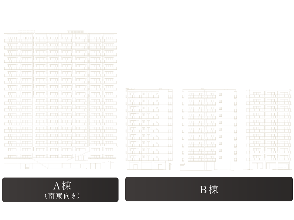 立面図