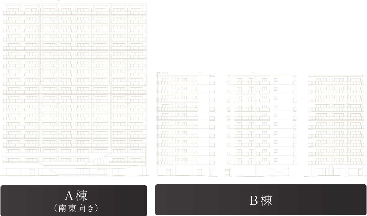 立面図