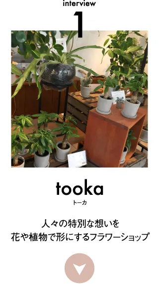 interview 1 - tooka