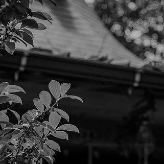 リンク背景画像：image photo