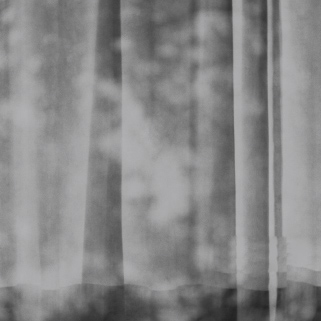 リンク背景画像：image photo