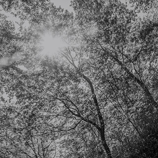 リンク背景画像：image photo