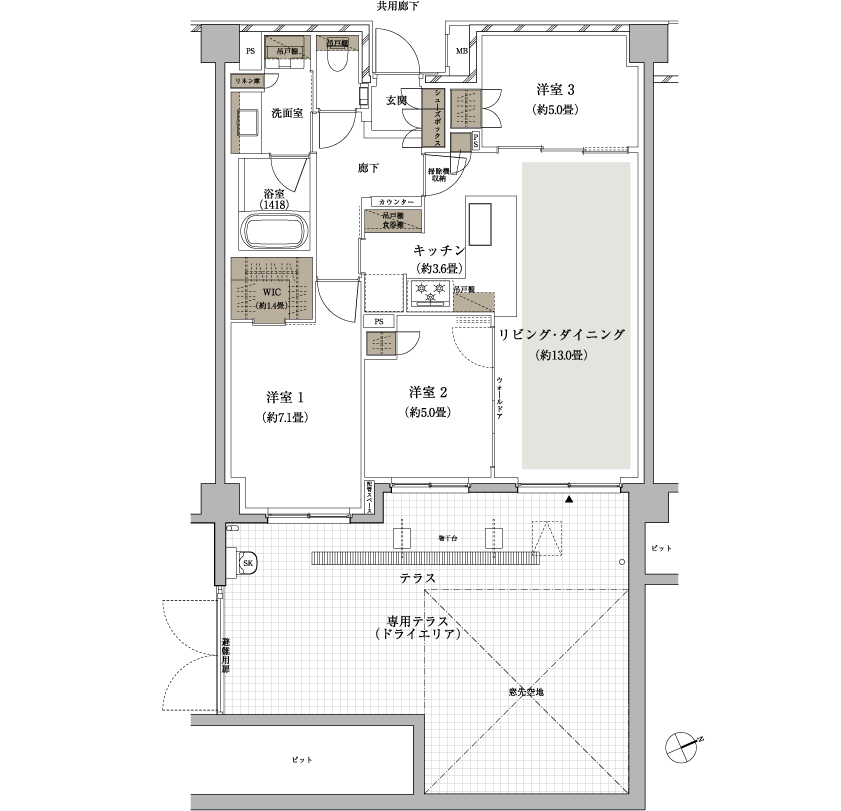 D3t type