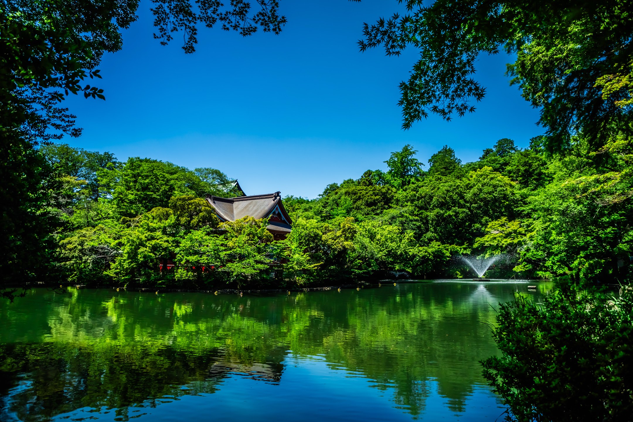 井の頭公園