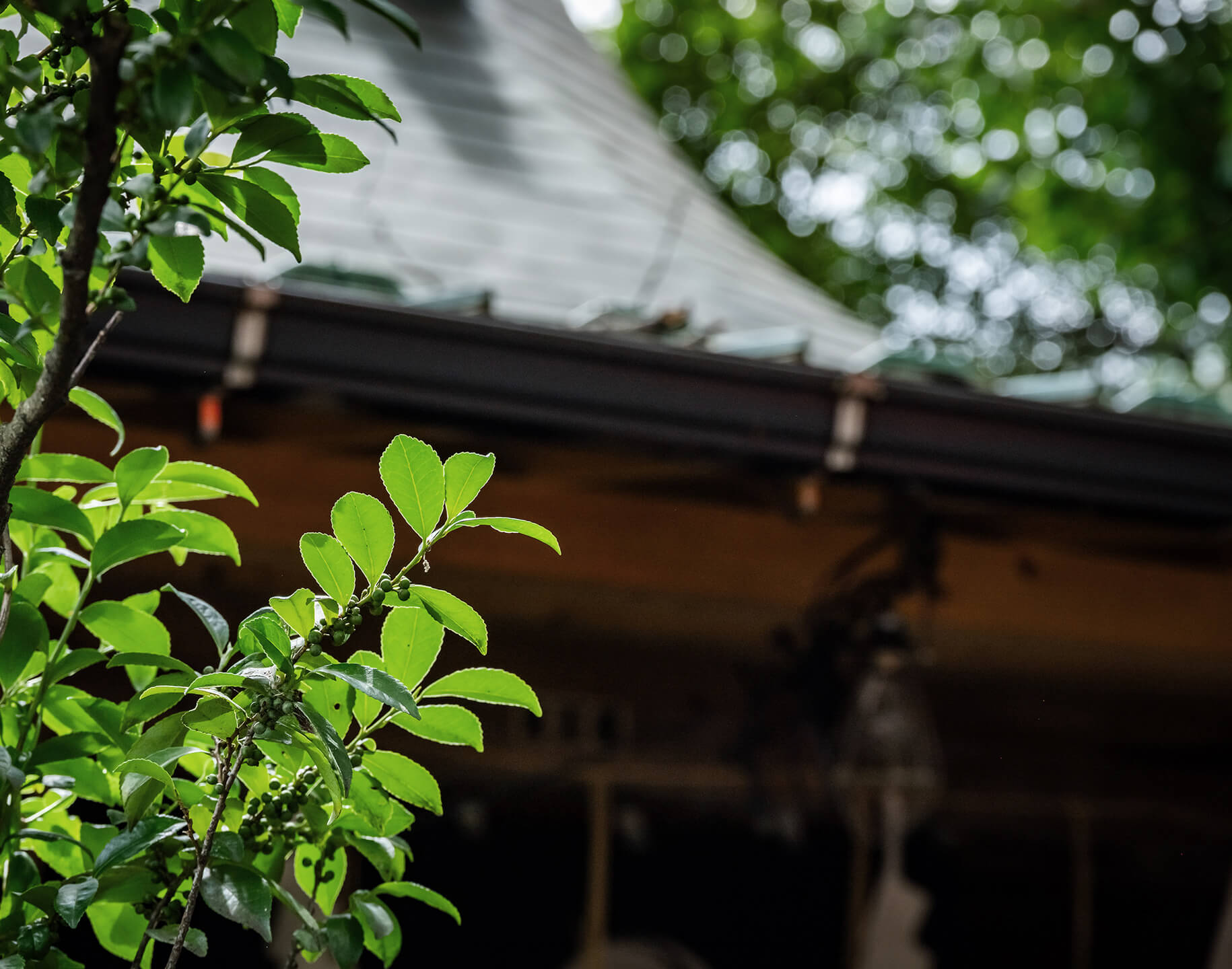 武蔵野八幡宮（徒歩5分/約400m）
