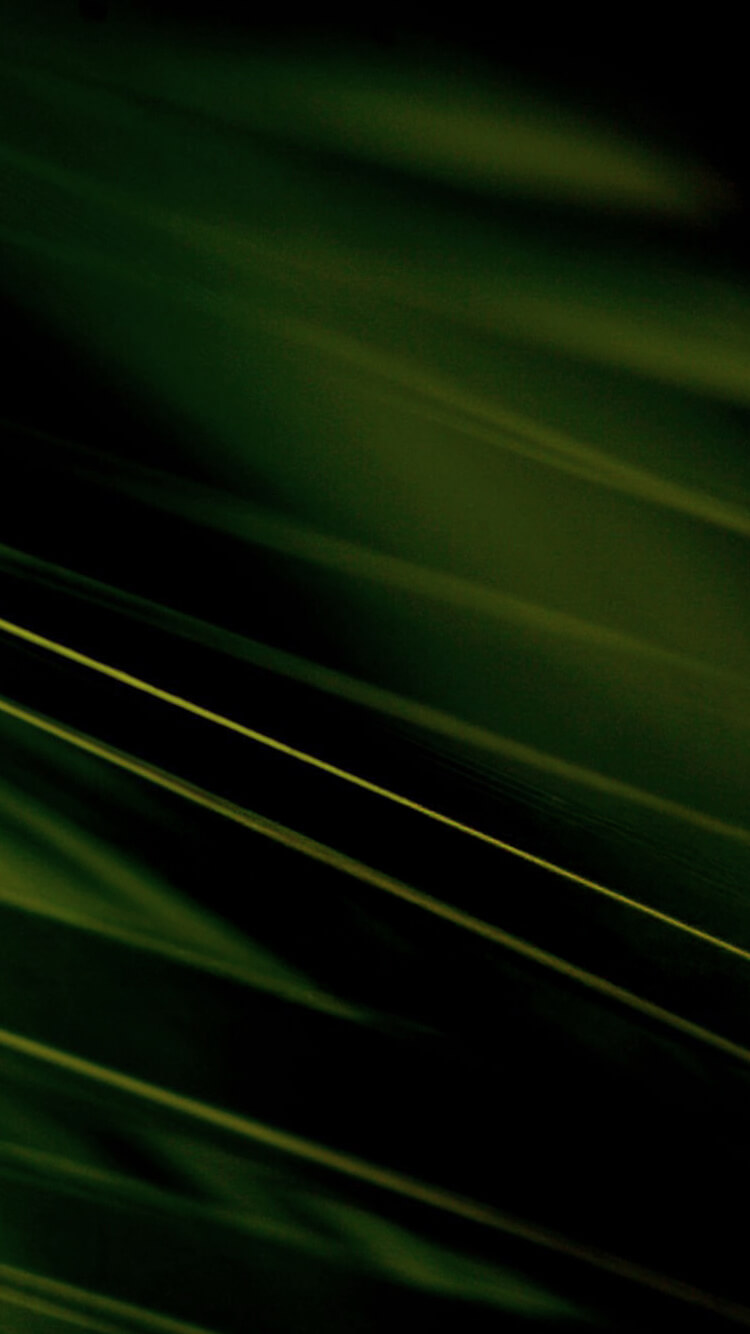 メインビジュアル背景