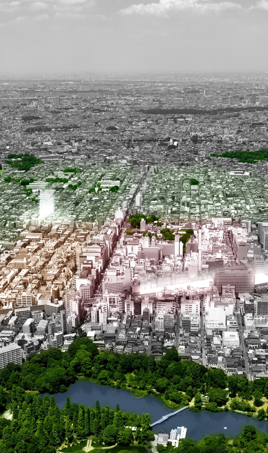現地周辺航空写真（2025年7月撮影）