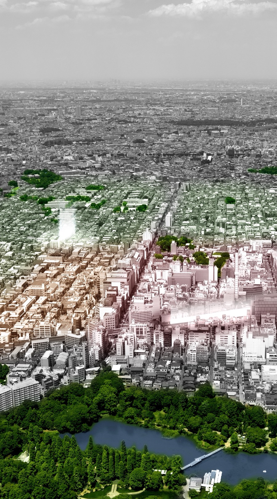 現地周辺航空写真