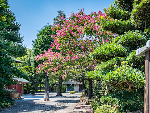 安養寺（徒歩7分/約500m）