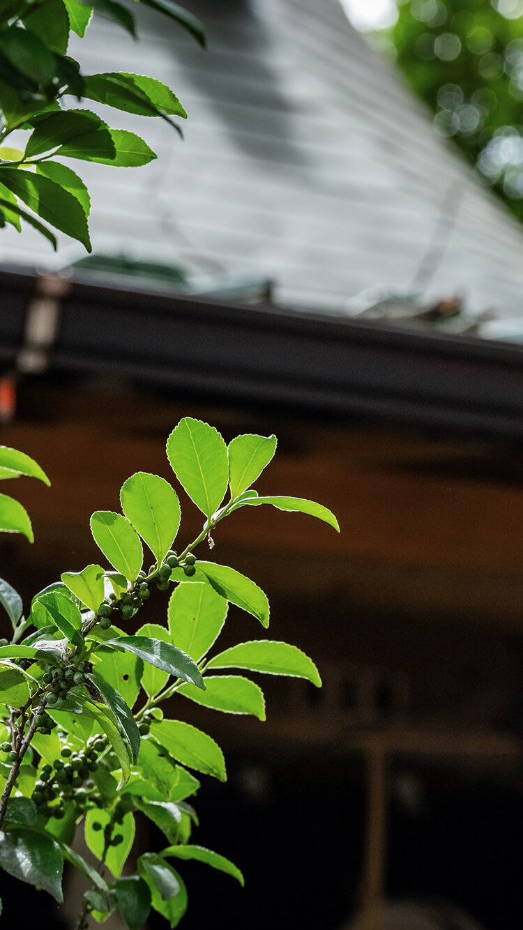 武蔵野八幡宮（徒歩5分/約400m）