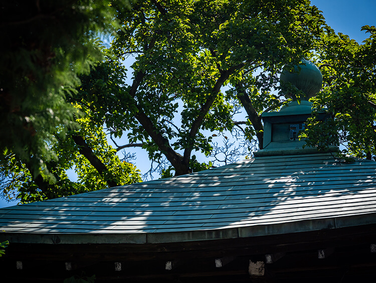 安養寺（徒歩7分/約500m）
