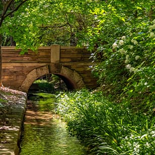 玉川上水［史跡・散歩道］