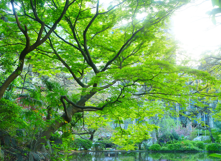 清水谷公園(徒歩7分/約560m)