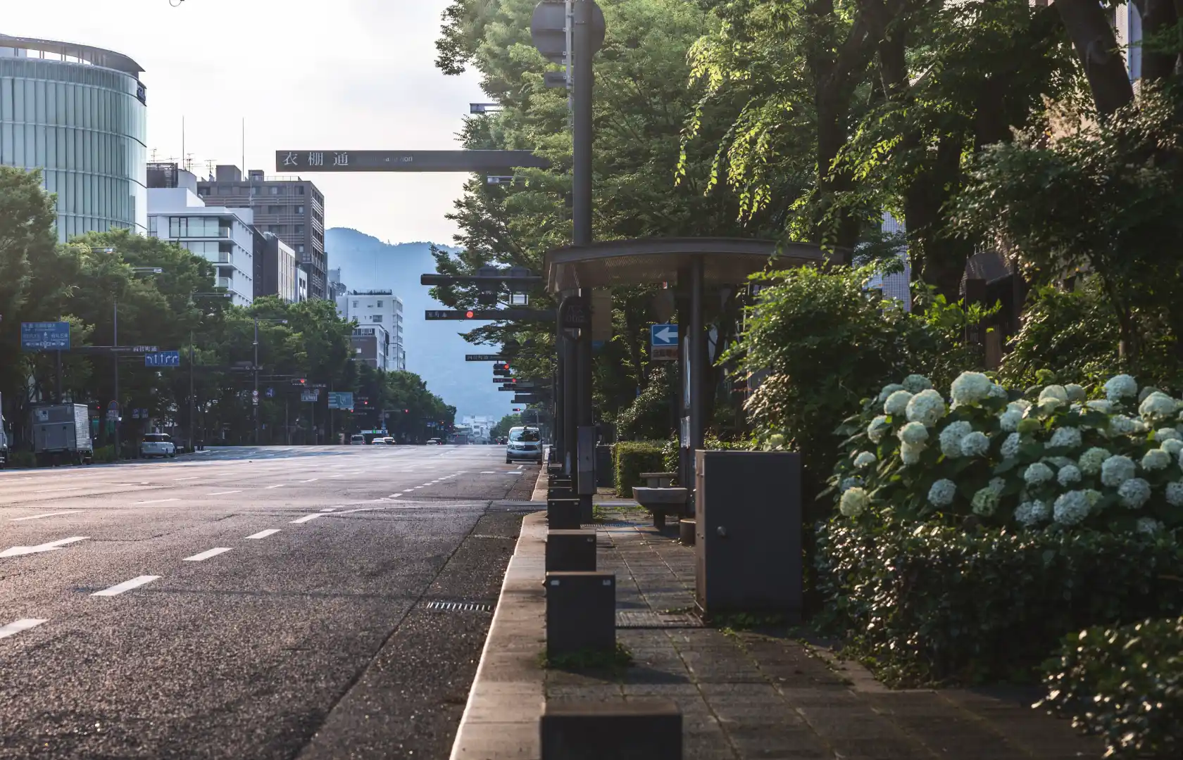 御池通（徒歩2分/約120m）