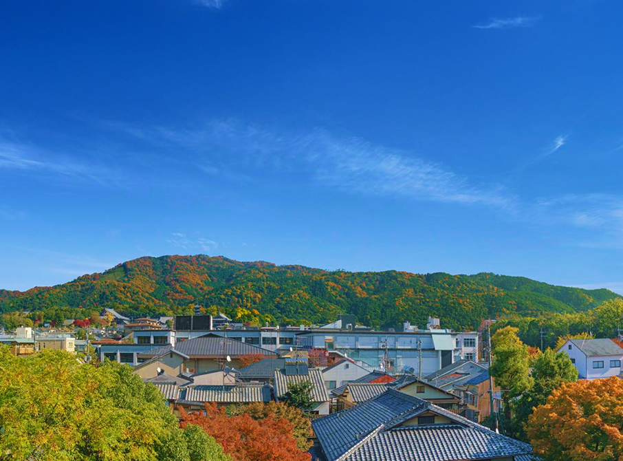 現地周辺航空写真