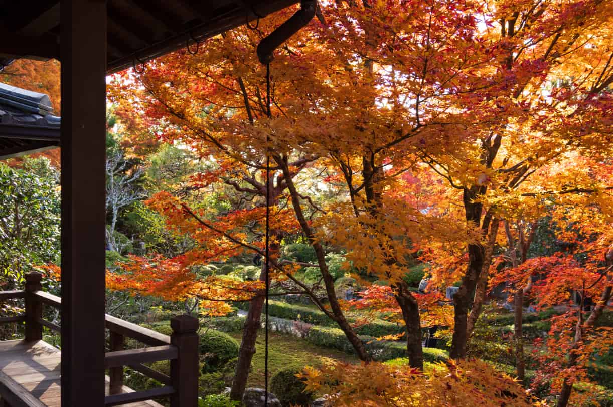 安楽寺（徒歩25分/約1,960m）