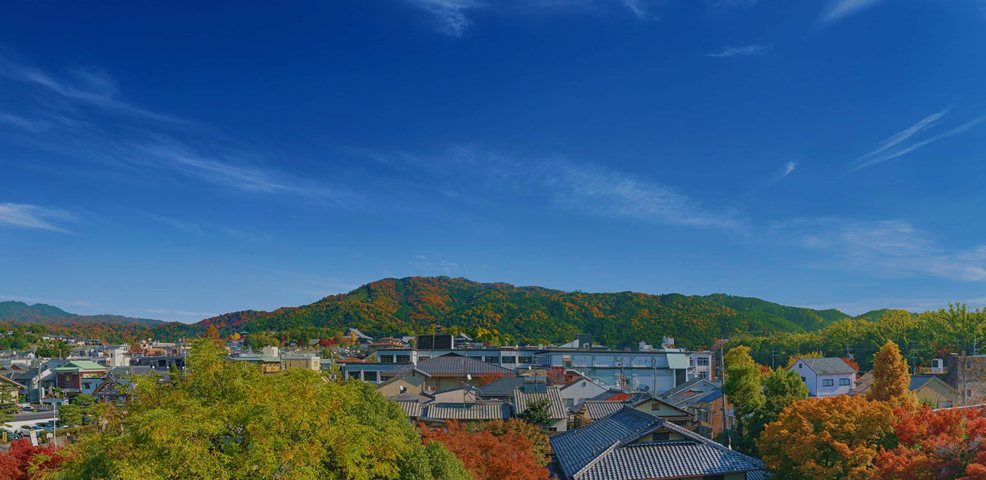 現地周辺航空写真