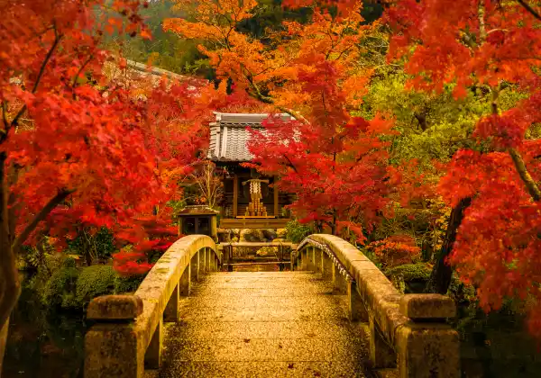 南禅寺（徒歩23分/約1,770m）