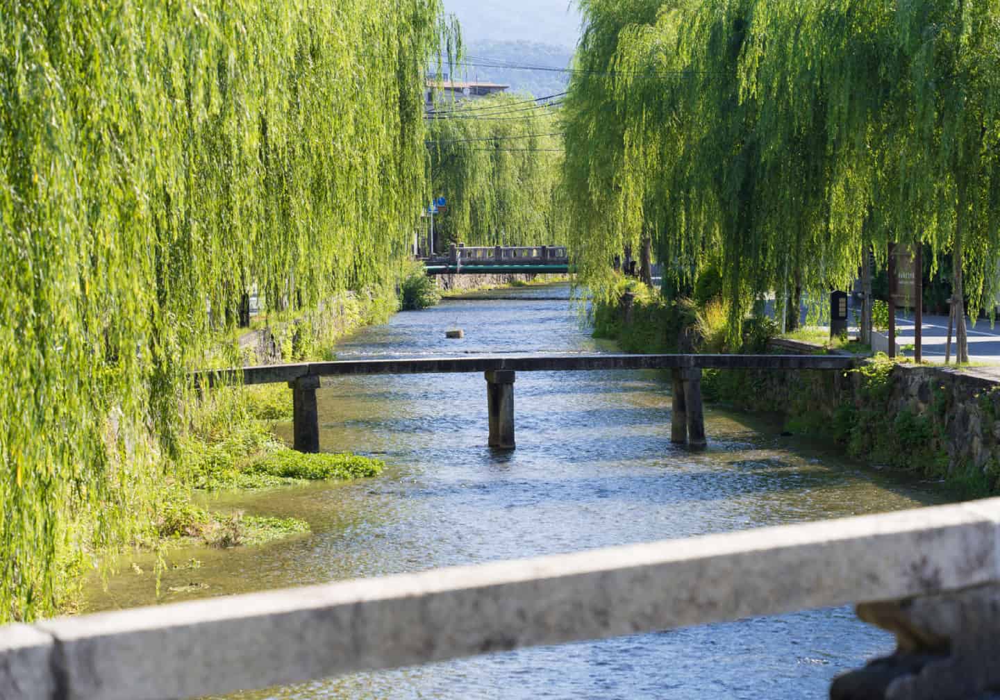 白川（徒歩19分/約1,500m）