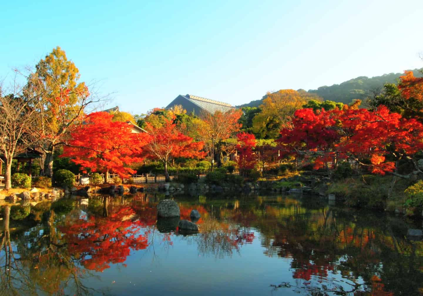 円山公園（徒歩25分/約2,000m）