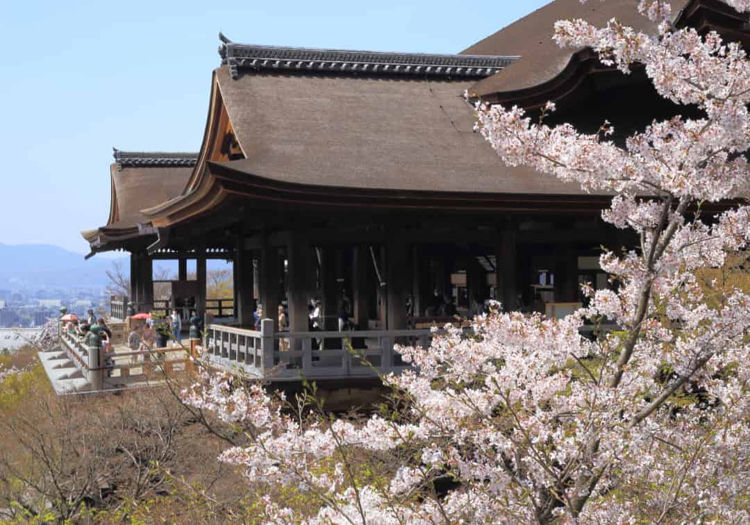 清水寺（徒歩40分/約3,150m）