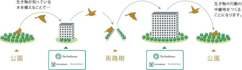 BIO NET INITIATIVE