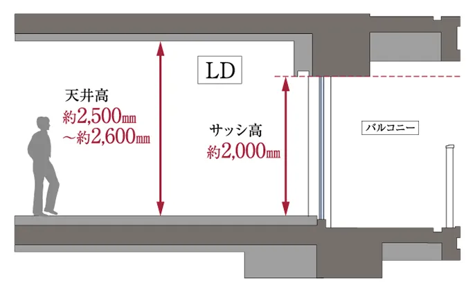 LD 天井高約2,500mm〜約2,600mm サッシ高約2,000mm