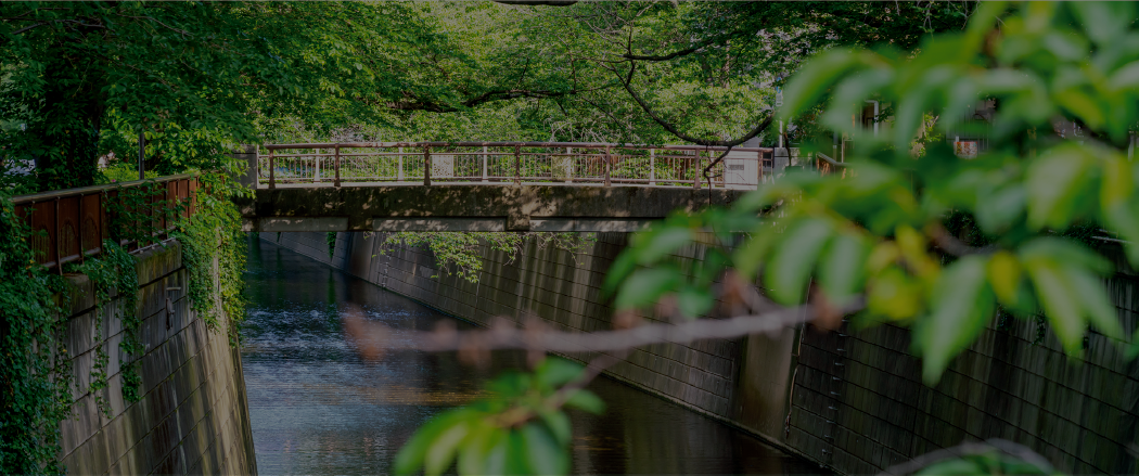 橋がかかった川の様子