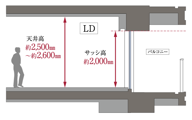 LD天井高 天井高約2,500〜約2,600mm サッシ高約2,000mm