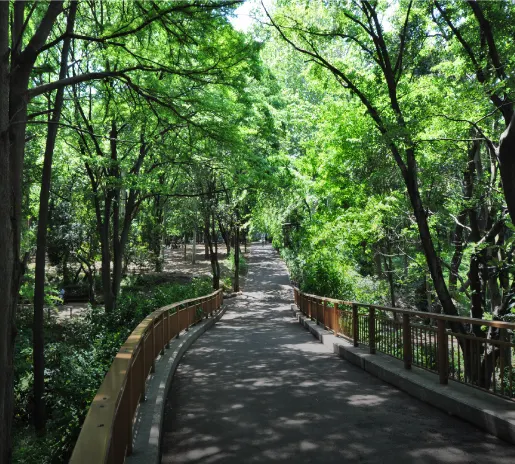 林試の森公園の様子