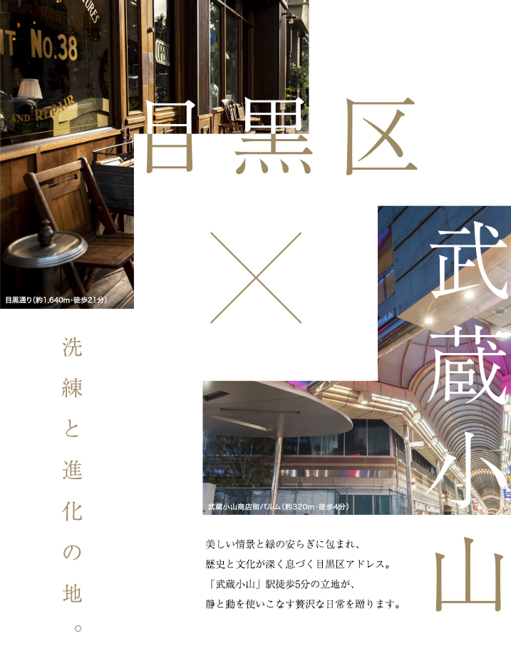 目黒区 × 武蔵小山 洗練と進化の地。 美しい情景と緑の安らぎに包まれ、由緒ある歴史と文化が息づく目黒区アドレス。「武蔵小山」駅徒歩5分の立地が、静と動を使いこなす贅沢な日常を贈ります。