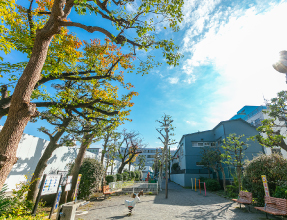 佐賀町公園(徒歩1分・約50m)